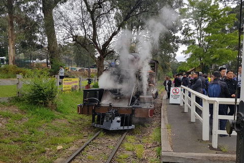 Day Tour Of Yarra Valley Puffing Billy And Rayners Orchard - Attractions Brisbane 43
