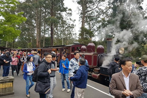 Day Tour Of Yarra Valley Puffing Billy And Rayners Orchard - Attractions Brisbane 12