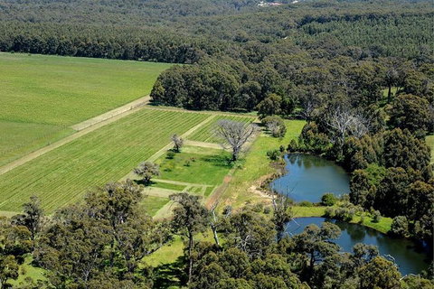 Half Day Wine & Food Tour - Attractions Brisbane 6