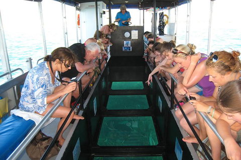 Coral Bay 1-Hour Coral Viewing - Attractions Brisbane 3