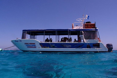 Coral Bay 1-Hour Coral Viewing - Attractions Brisbane 1