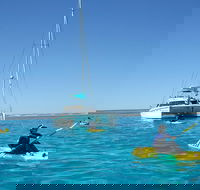 5 Night Ningaloo Reef Ningaloo Escape from Coral Bay - Attractions Brisbane