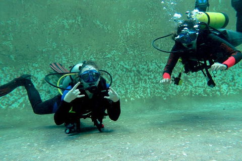 PADI Open Water Course - Attractions Brisbane 4