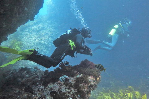 PADI Open Water Course - Attractions Brisbane 2