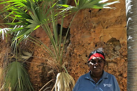 Bungles Day Trek Extended (with Echidna Chasm) - Attractions Brisbane 2