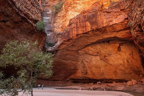 Bungles Day Trek Extended (with Echidna Chasm) - Attractions Brisbane 0