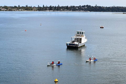 Cliffs And Caves Kayak Tour In Swan River - Attractions Brisbane 5