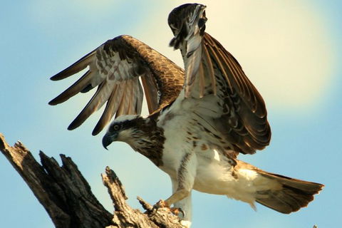 Ord River Discoverer With Sunset - Attractions Brisbane 1
