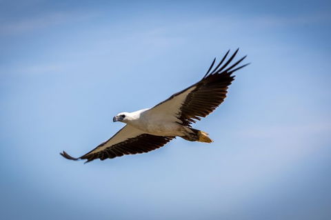 Ord River Discoverer With Sunset - Attractions Brisbane 4