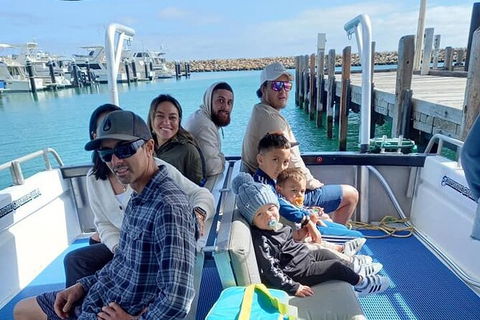 Whale Watching Boat Tour In Geraldton - Attractions Brisbane 1