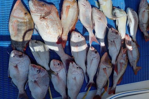 Geraldton Fishing Charter - Attractions Brisbane 7