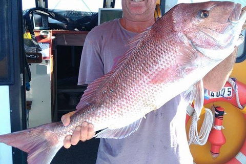 Geraldton Fishing Charter - Attractions Brisbane 10