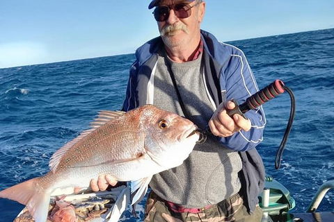 Geraldton Fishing Charter - Attractions Brisbane 8