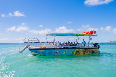 The Island Sandbar Experience - Attractions Brisbane 5
