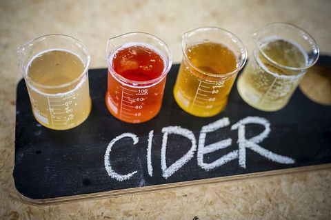 Bickley Valley Wine & Cider Tour - Premium Small Group Tour - Attractions Brisbane 1