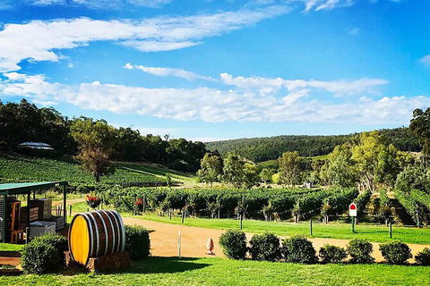 Bickley Valley Wine & Cider Tour - Premium Small Group Tour - Attractions Brisbane 0