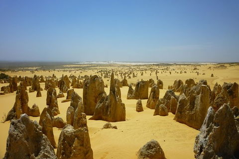 Pinnacles Desert Private Tour - Attractions Brisbane 5