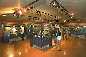  Attractions Brisbane