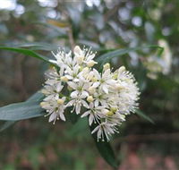 Booderee National Park - Attractions Brisbane