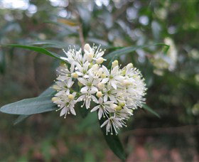 Booderee National Park - Attractions Brisbane 0