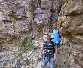  Attractions Brisbane