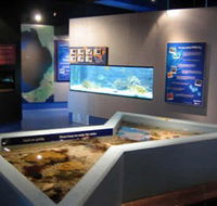 Marine and Freshwater Discovery Centre - Attractions Brisbane