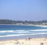 Mollymook Surf Beach - Attractions Brisbane