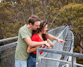  Attractions Brisbane