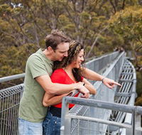 Valley of the Giants Tree Top Walk - Attractions Brisbane