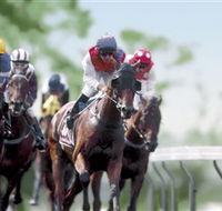 Colac Turf Club - Attractions Brisbane