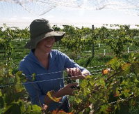 Book Goulburn Accommodation Vacations Attractions Brisbane Attractions Brisbane