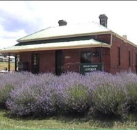 Lavender House in Railway Park - Attractions Brisbane