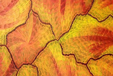 Red Desert Dreamings - Attractions Brisbane 0