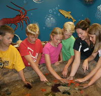 Naturaliste Marine Discovery Centre - Attractions Brisbane