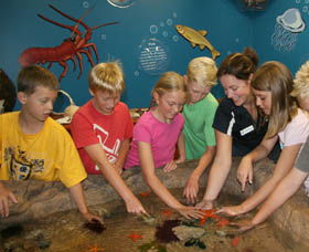 Naturaliste Marine Discovery Centre - Attractions Brisbane 0