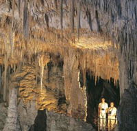 Mammoth Cave - Attractions Brisbane
