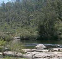 Wellington Discovery Forest - Attractions Brisbane