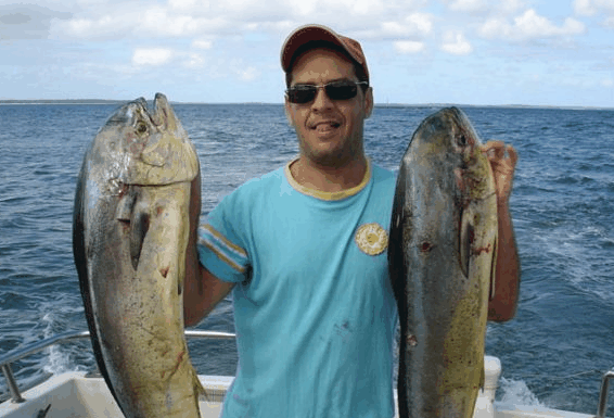 Jervis Bay Fishing And Charters - Attractions Brisbane 0
