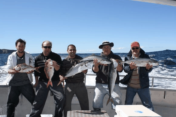 Jervis Bay Fishing And Charters - Attractions Brisbane 2