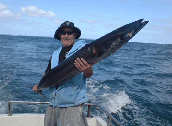 Jervis Bay Fishing And Charters - Attractions Brisbane 4