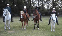 Valhalla Horse Riding - Attractions Brisbane 1