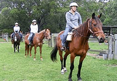 Valhalla Horse Riding - Attractions Brisbane 2