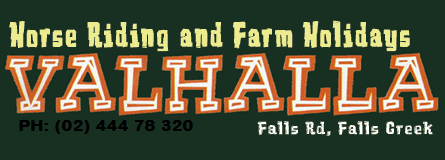 Valhalla Horse Riding - Attractions Brisbane 4