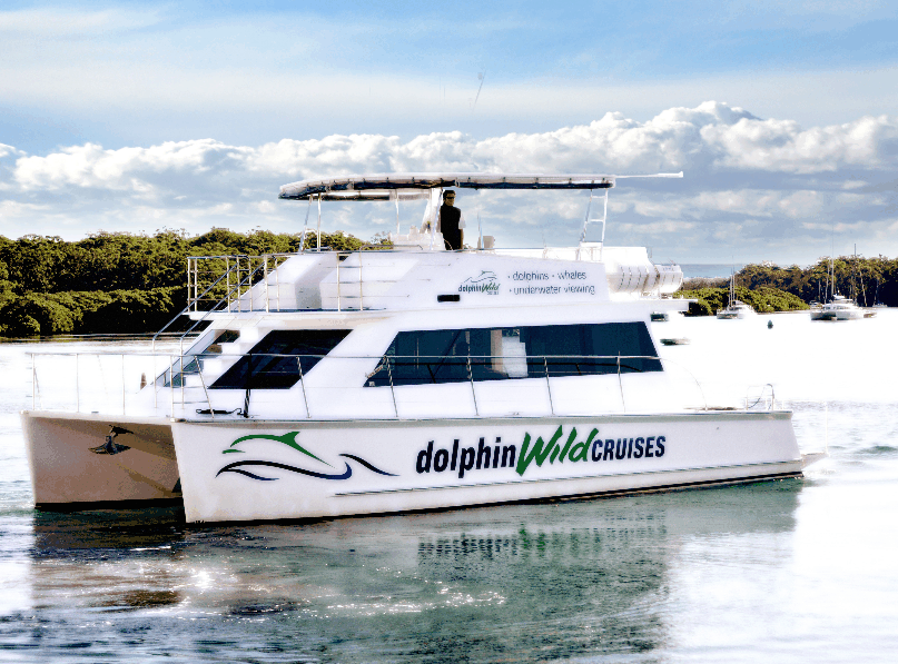 Dolphin Wild Cruises - Attractions Brisbane 2