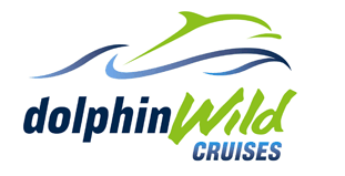 Dolphin Wild Cruises - Attractions Brisbane 4