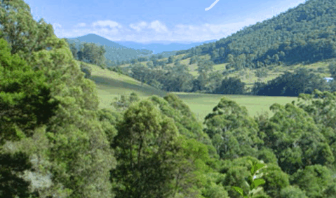 Blue Poles Gallery - Attractions Brisbane 1