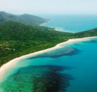 Jungle Tours and Trekking - Attractions Brisbane