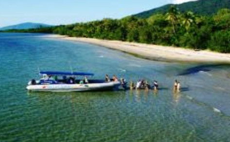 Cape Tribulation QLD Attractions Brisbane