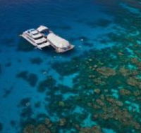 Great Adventures Reef and Green Island Cruises - Attractions Brisbane