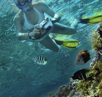 Calypso Reef Charters - Attractions Brisbane